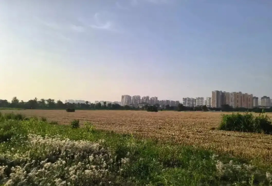 炒股的人，不会与这个社会脱节