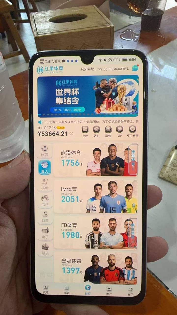 红果体育你们的风控是傻子吗，要不要你们去查档看看我这是不是虚假KYC
